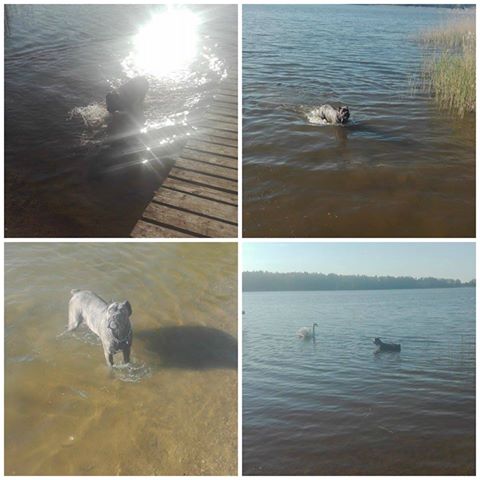 Pozdrowienia od Ateny :)